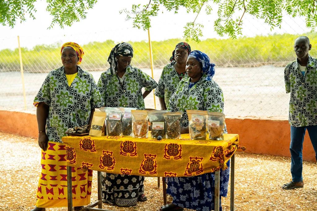 Atelier Saveurs de la mangrove