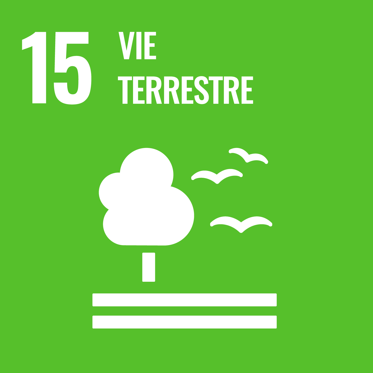 ODD 15, vie terrestre